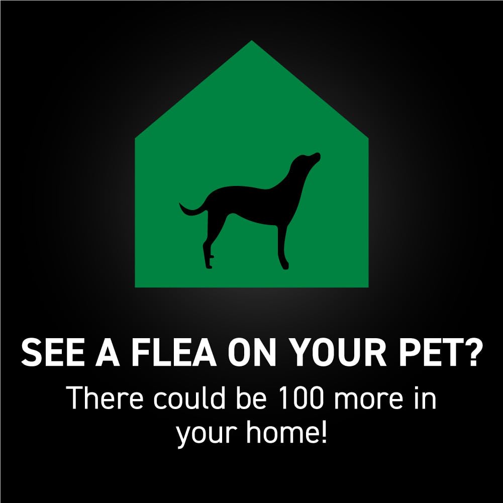 Flea & Tick Topical Dogs Large 1-Month F82477
