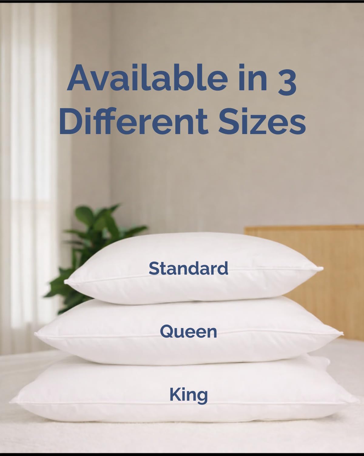 King Pillows Set of 2 A44508