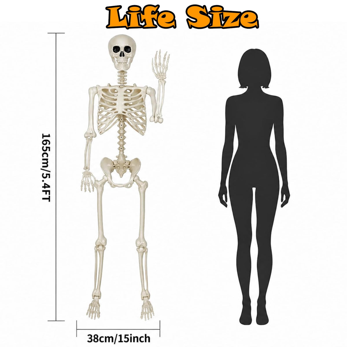 Life Size Posable Skeleton Decorations I272935