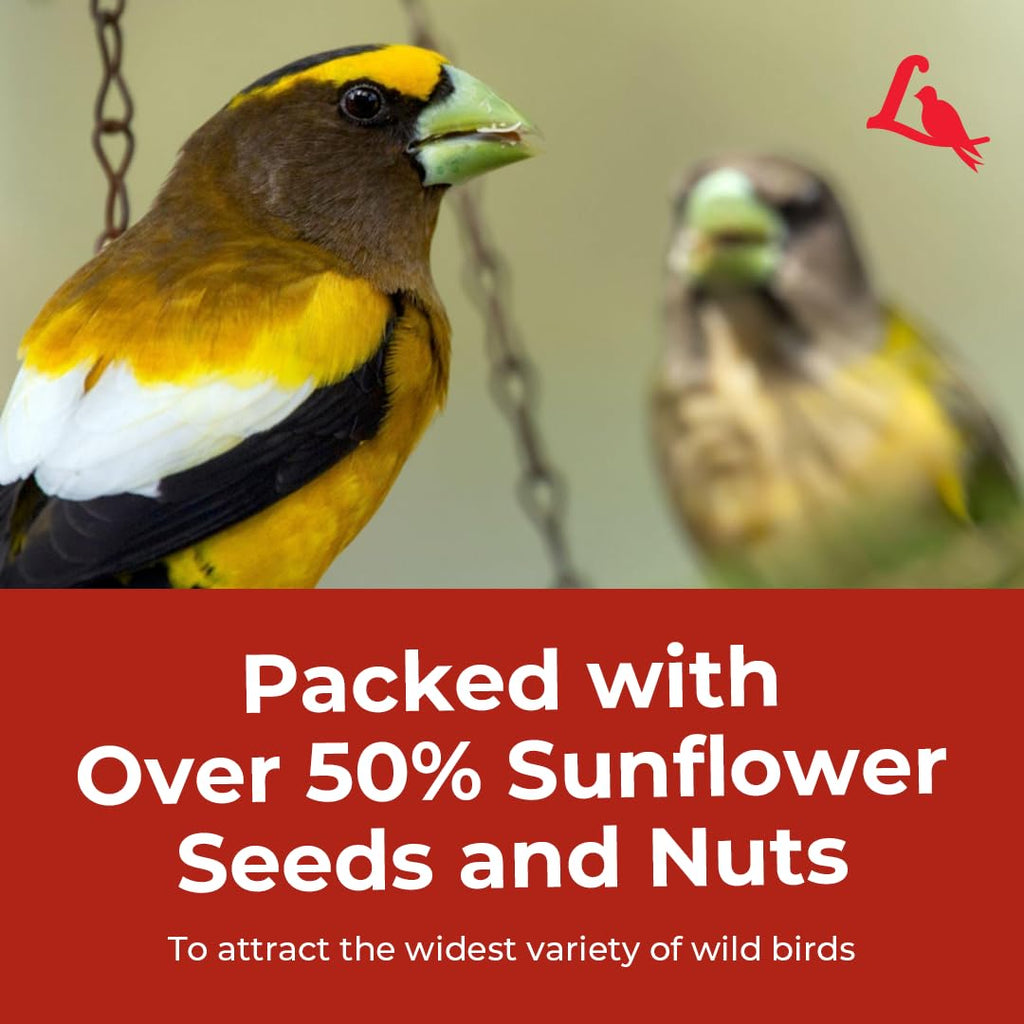 Wild Bird Seed 20 lb. Bag Q213971