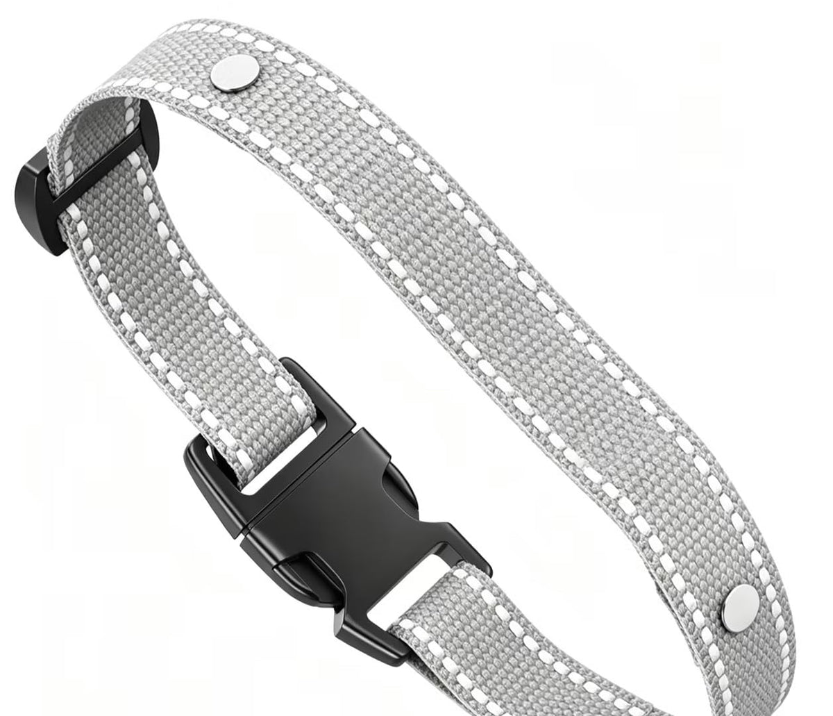 Wireless Dog Fence L4289