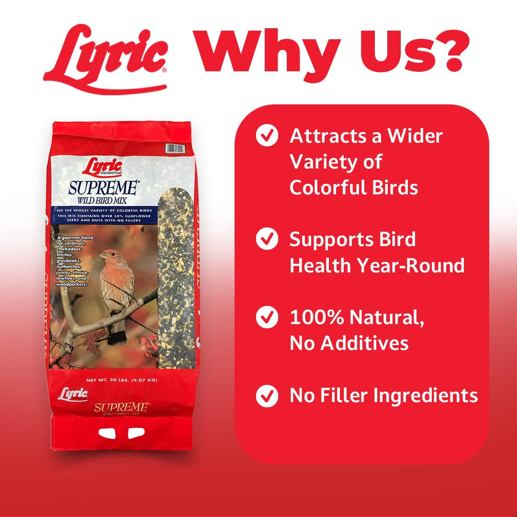 Wild Bird Seed 20 lb. Bag Q213971