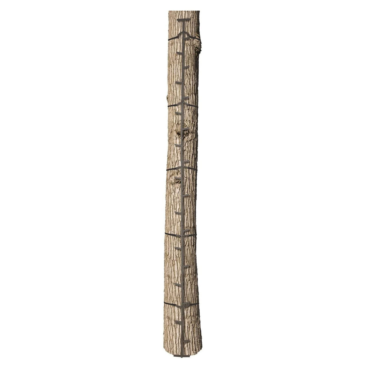Climbing Ladder Sticks, 20 ft Portable T102939