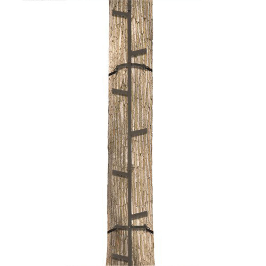 Climbing Ladder Sticks, 20 ft Portable T102939