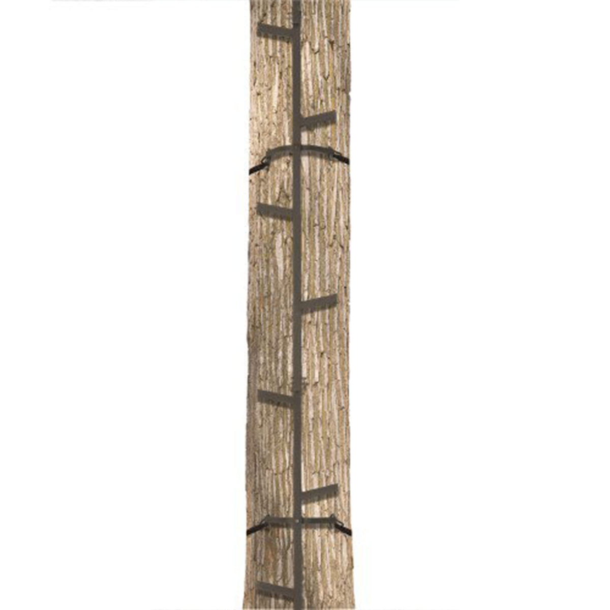 Climbing Ladder Sticks, 20 ft Portable T102939