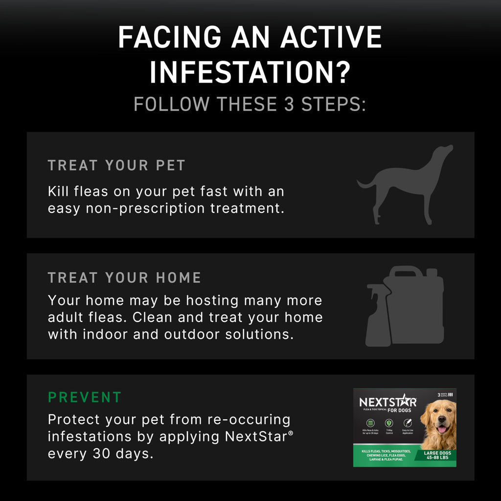 Flea & Tick Topical Dogs Large 1-Month F82477