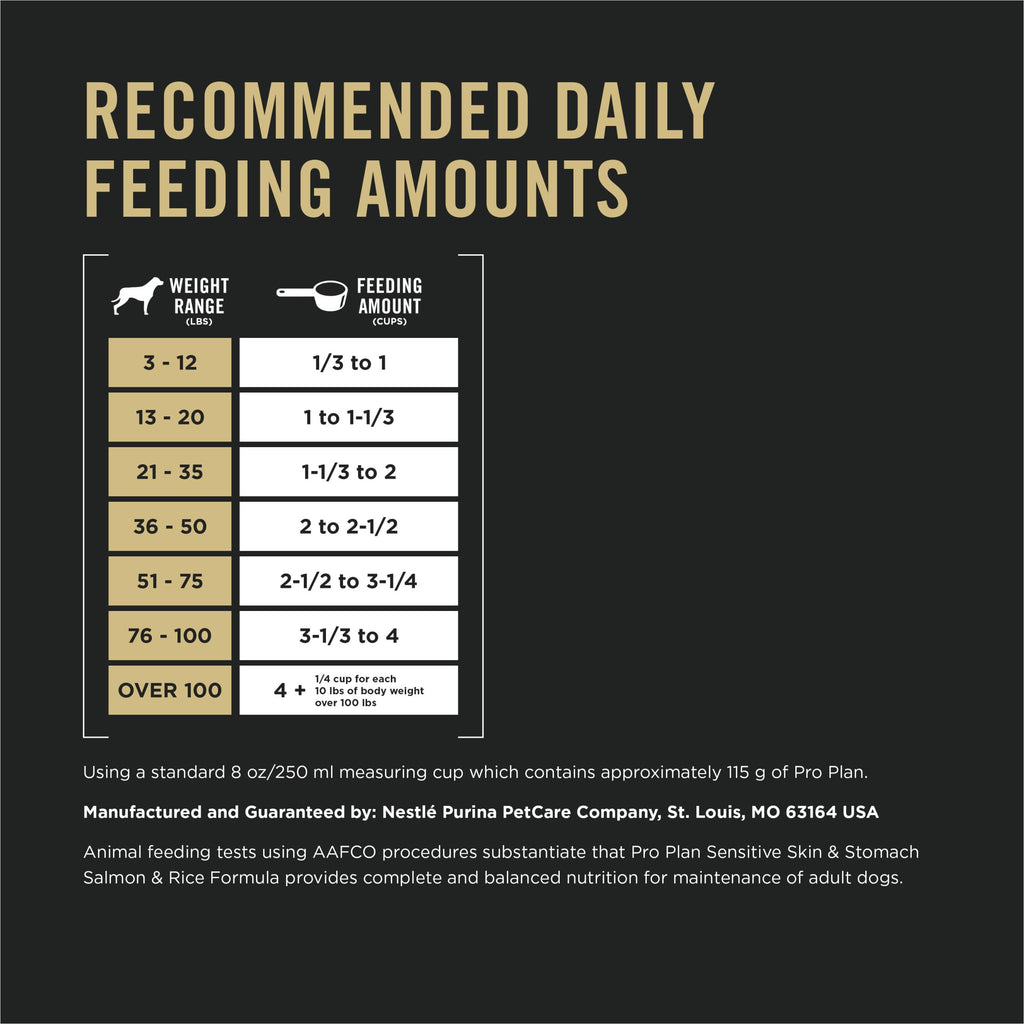 Salmon & Rice Dry Dog Food 40 lb. Bag R2988