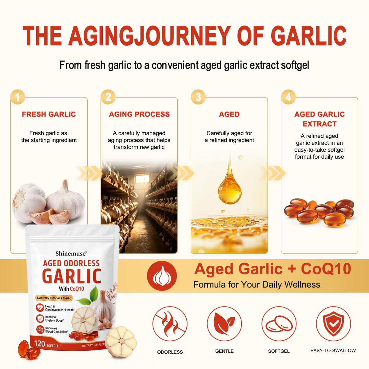 Aged Garlic Extract Softgels 1200mg with CoQ10 J22755
