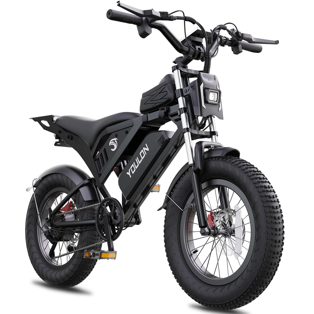 Electric Bike J971