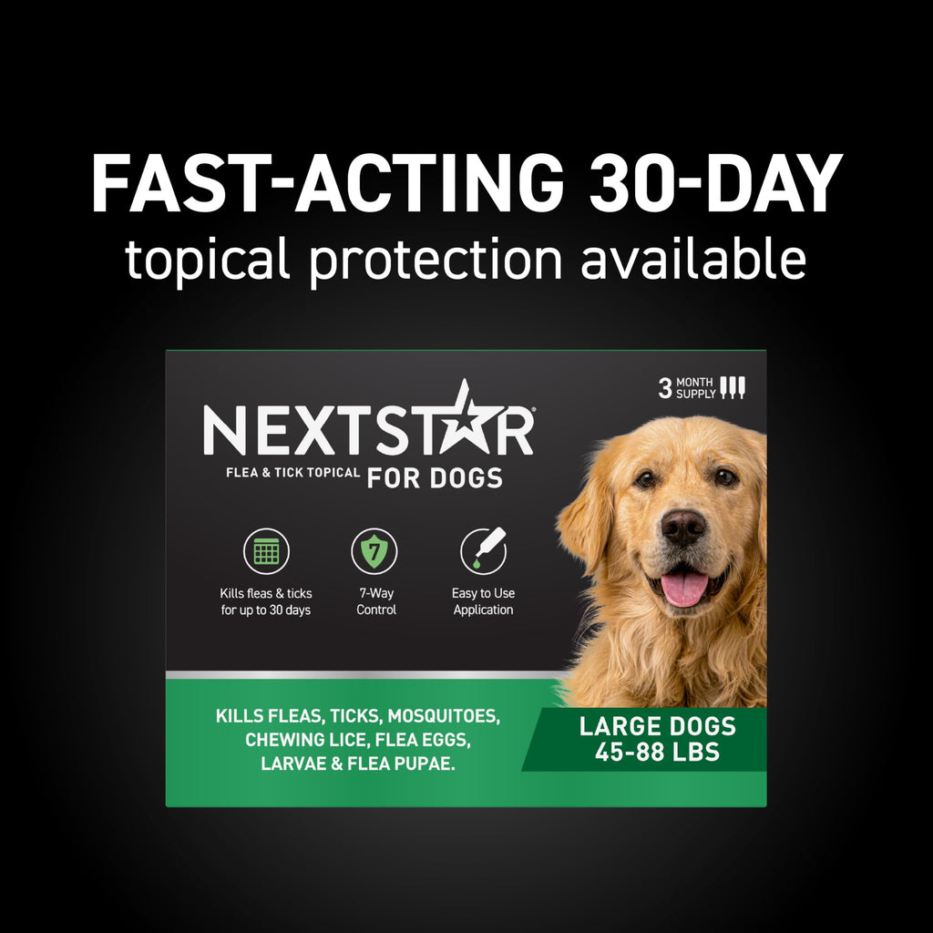 Flea & Tick Topical Dogs Large 1-Month F82477