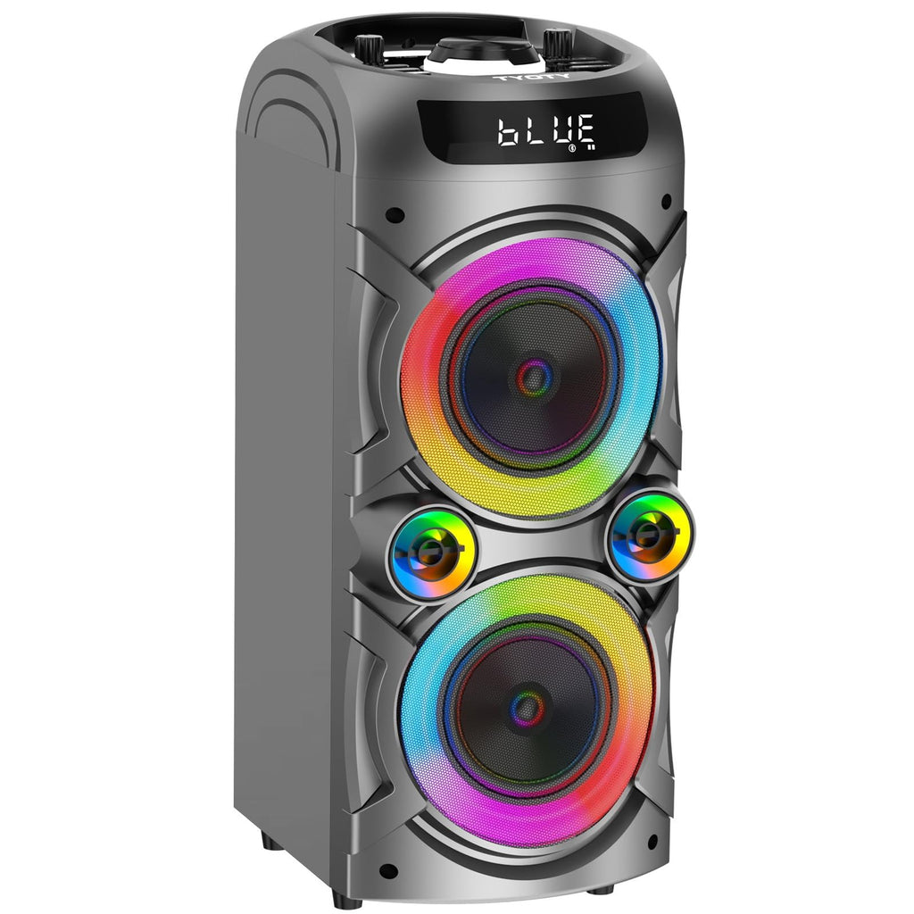 100W Portable Bluetooth Speaker I552