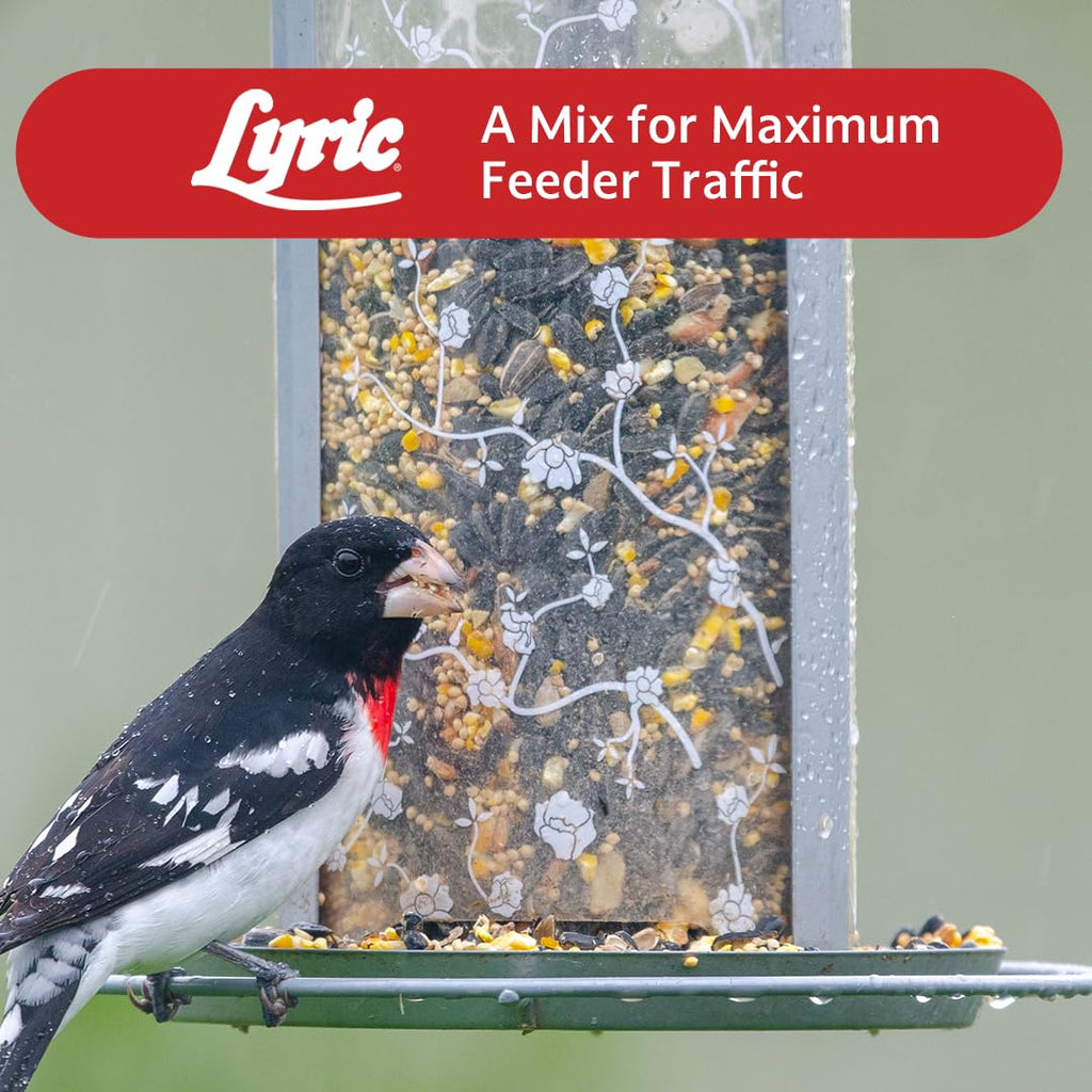 Wild Bird Seed 20 lb. Bag Q213971