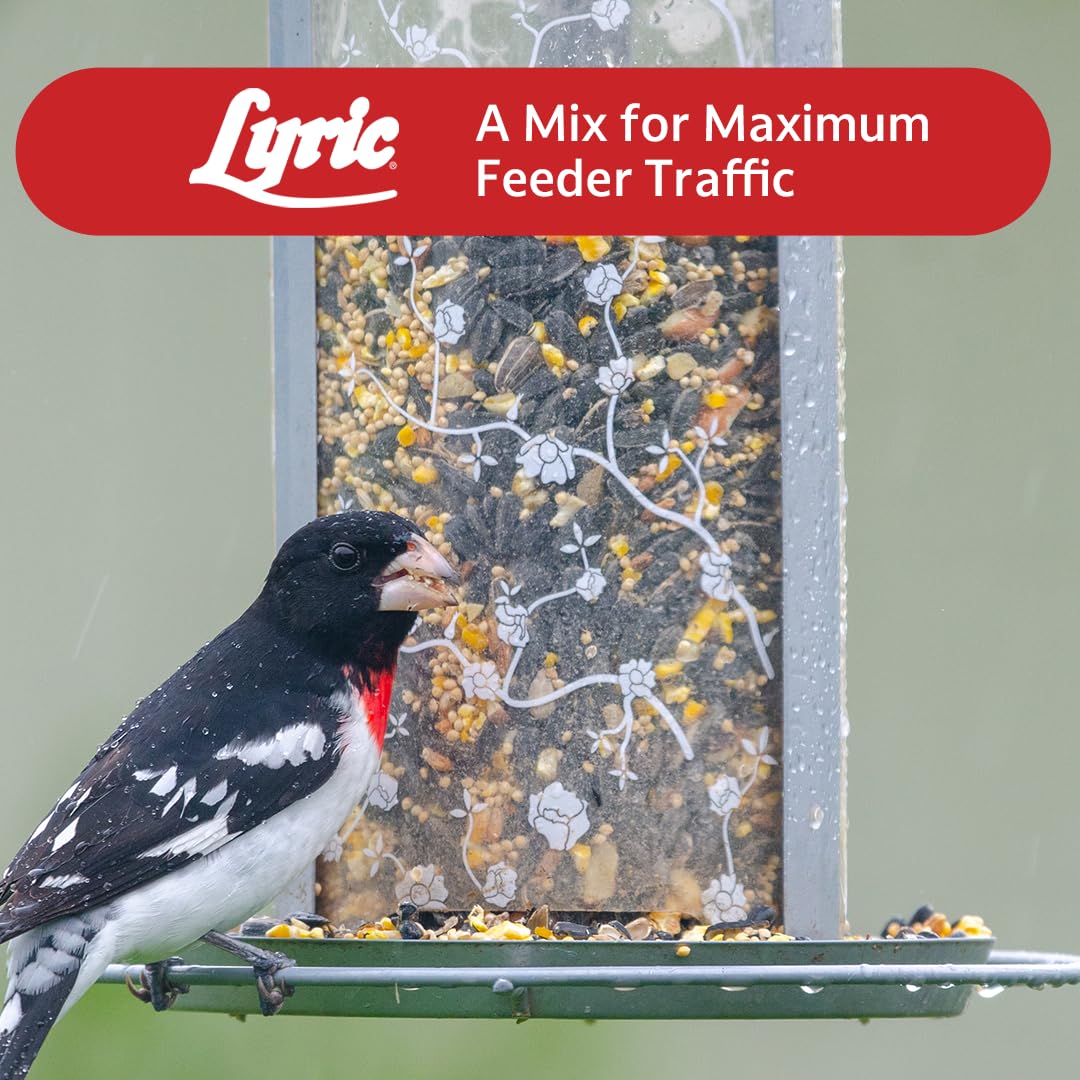 Wild Bird Seed 20 lb. Bag Q213971