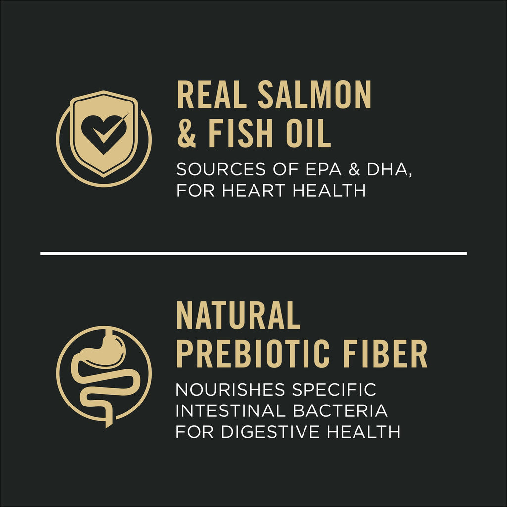 Salmon & Rice Dry Dog Food 40 lb. Bag R2988