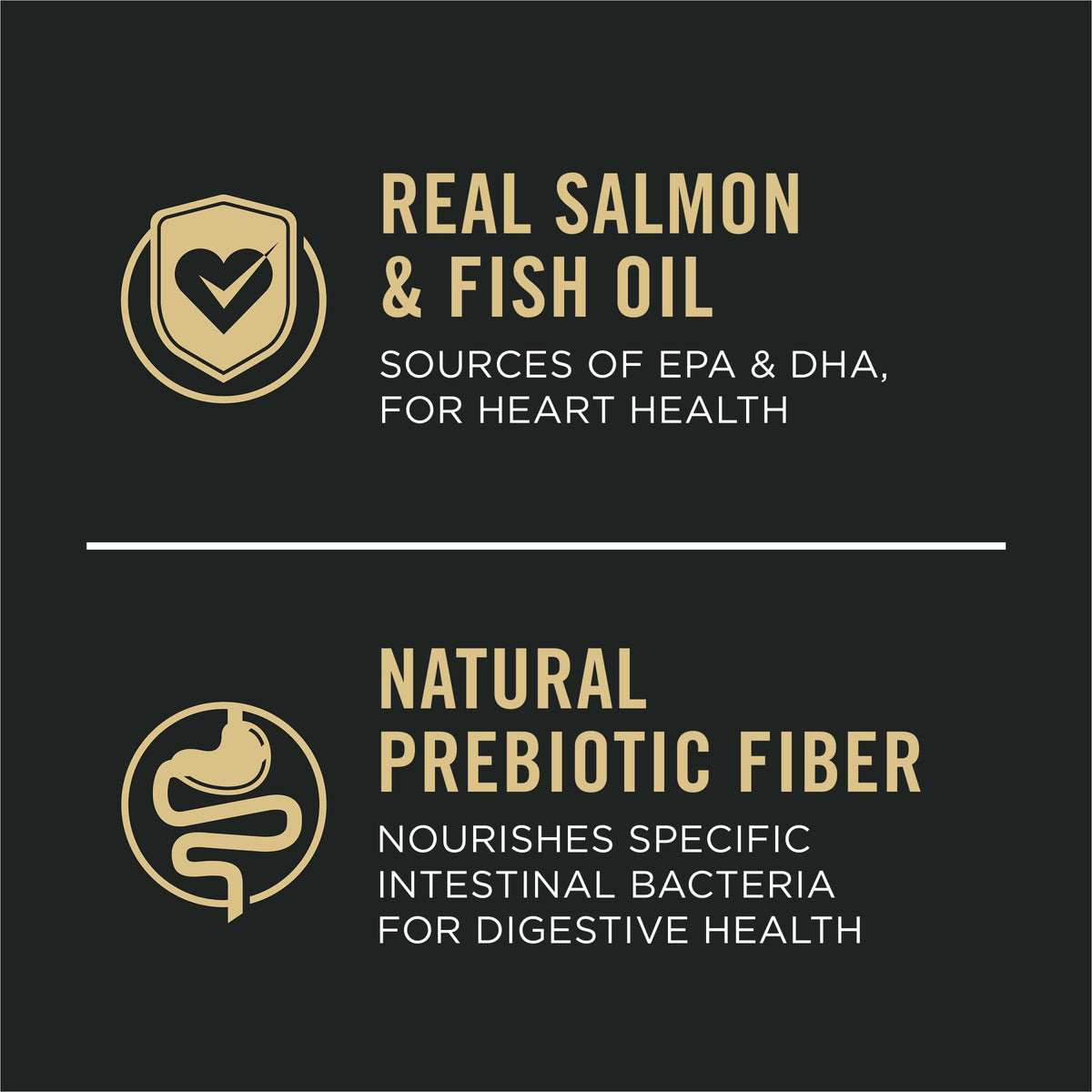 Salmon & Rice Dry Dog Food 40 lb. Bag R2988