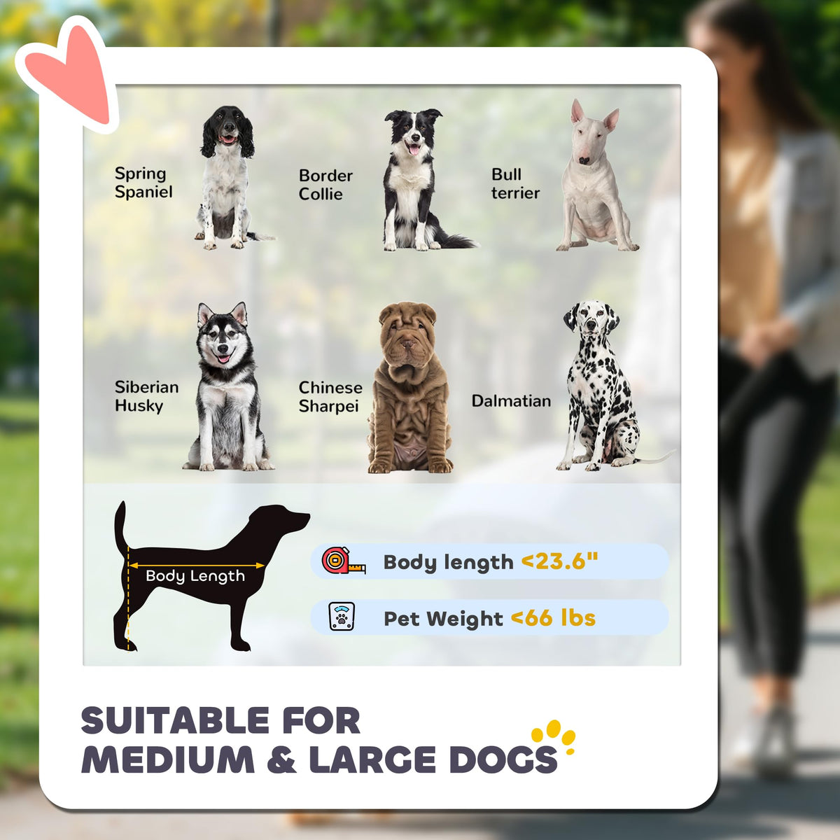 Foldable Dog Stroller with Storage Gray B885