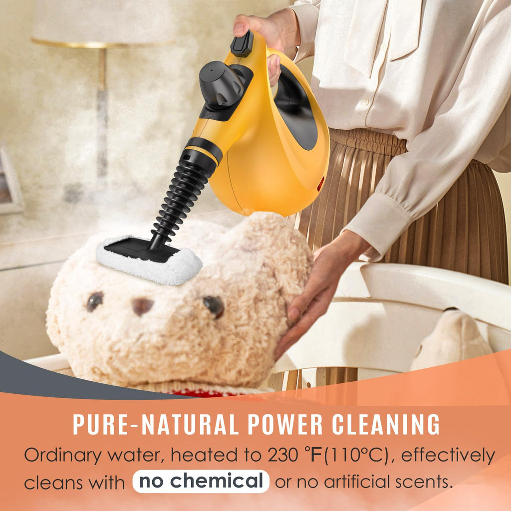 Pressurized Handheld Multi-Surface Natural Steam Cleaner with 12 pcs Accessories F449