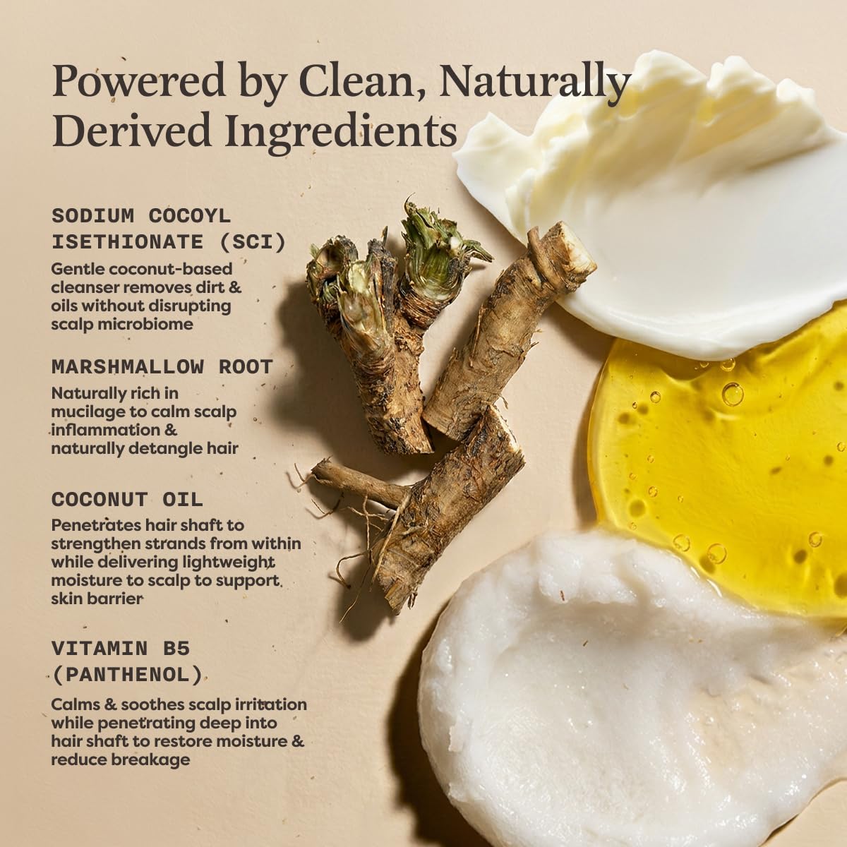 Fragrance Free Shampoo & Conditioner Set V8204