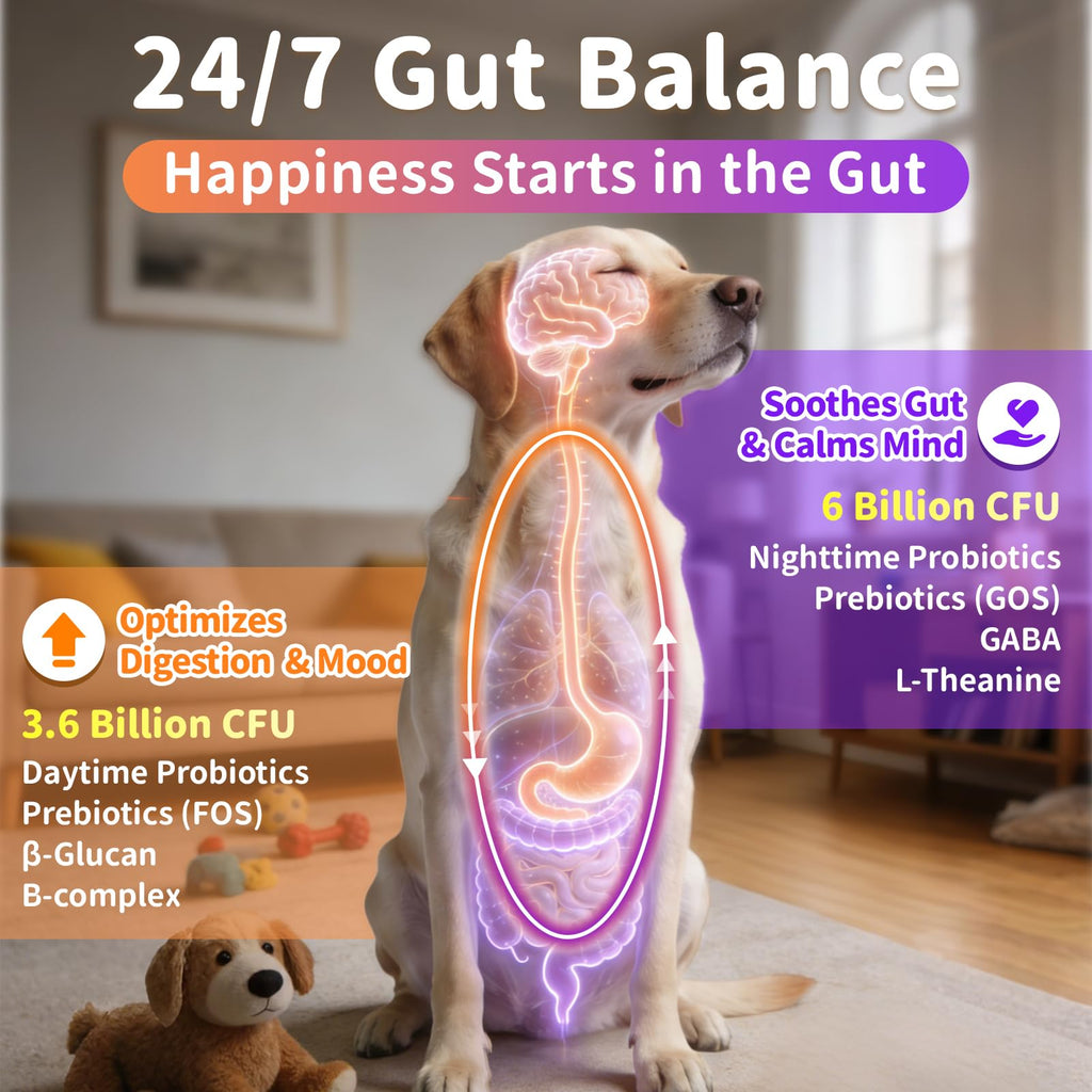 Dog Vitamins and Supplements 2 Pack Chicken U573070