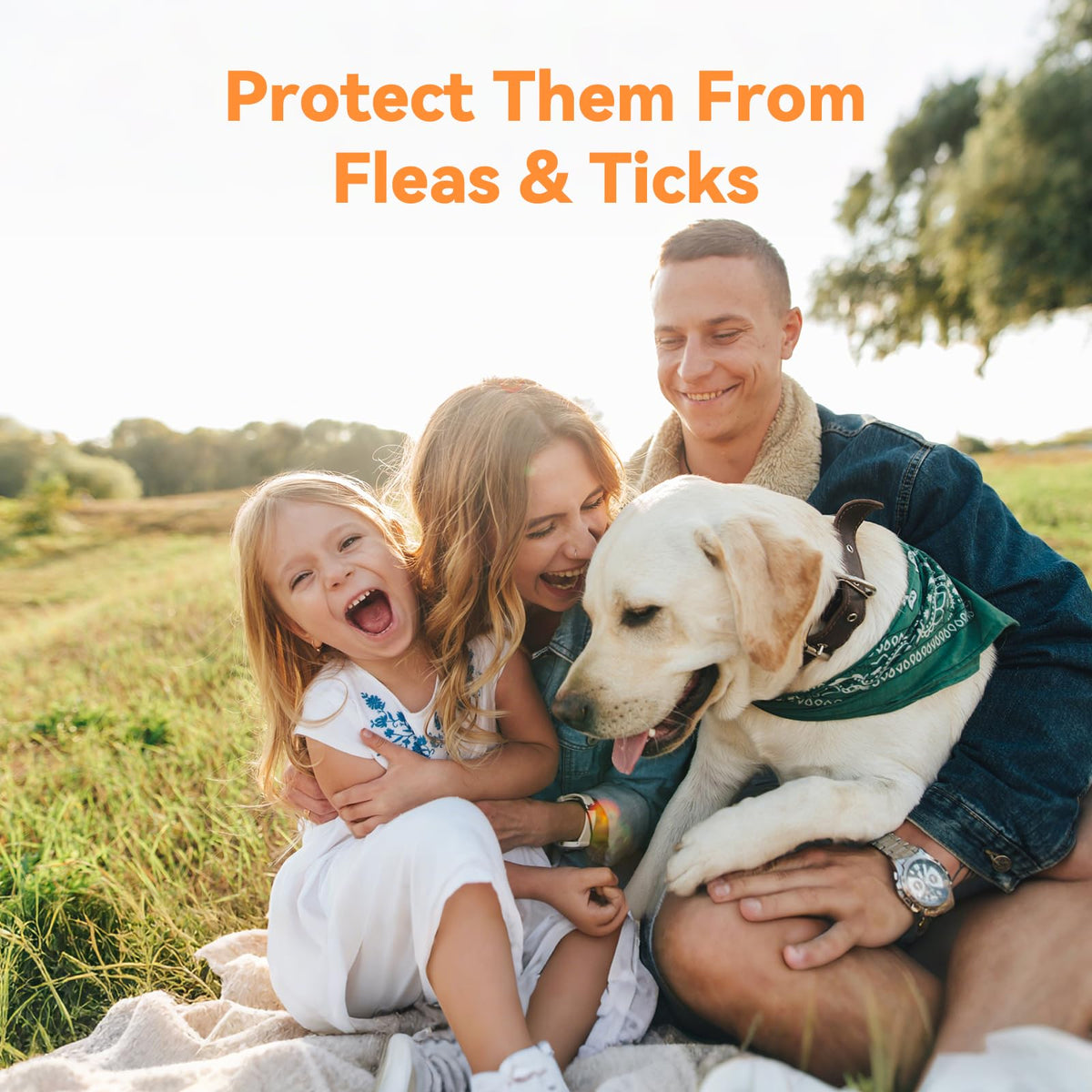 Flea and Tick Prevention for Small Dogs & Puppies, 3 Monthly Doses P744165