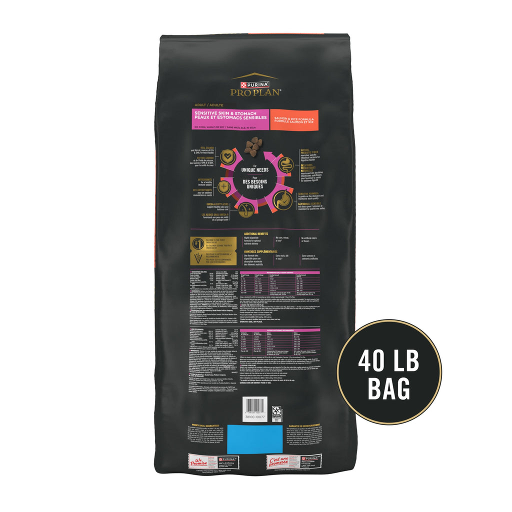 Salmon & Rice Dry Dog Food 40 lb. Bag R2988
