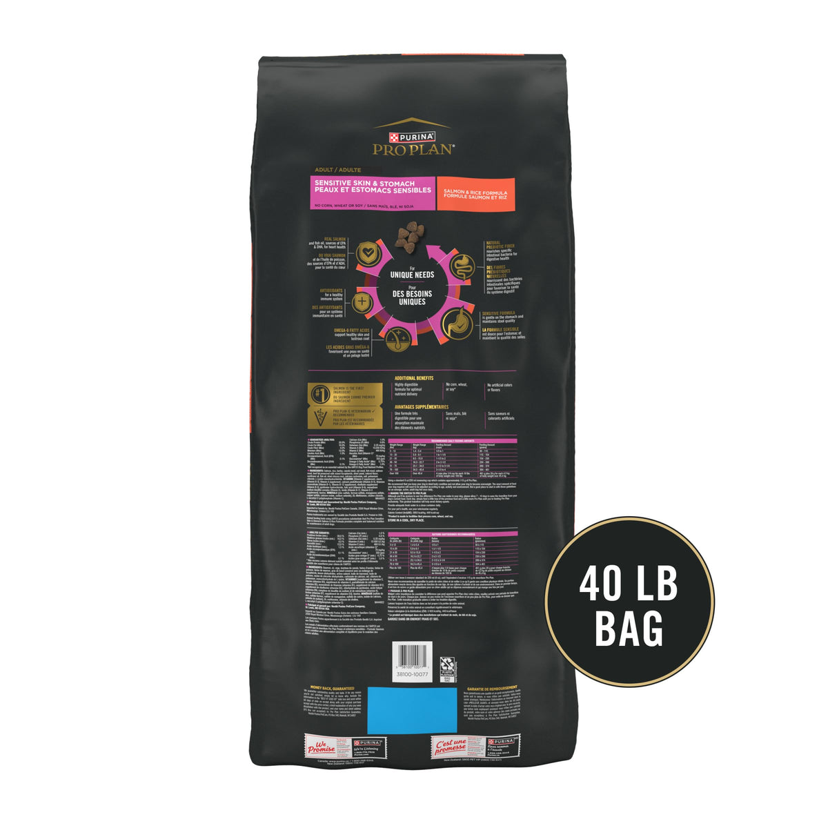 Salmon & Rice Dry Dog Food 40 lb. Bag R2988