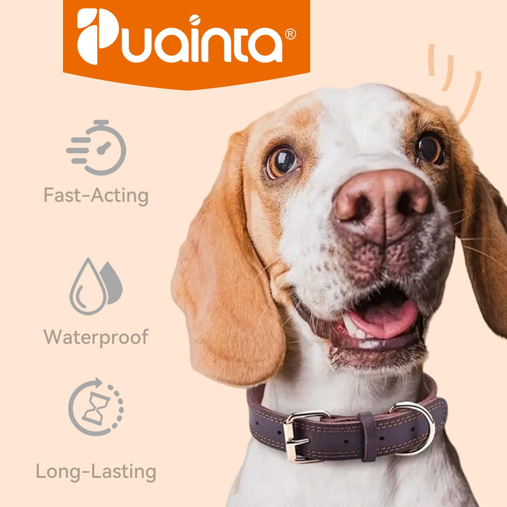 Flea and Tick Prevention for Small Dogs & Puppies, 3 Monthly Doses P744165