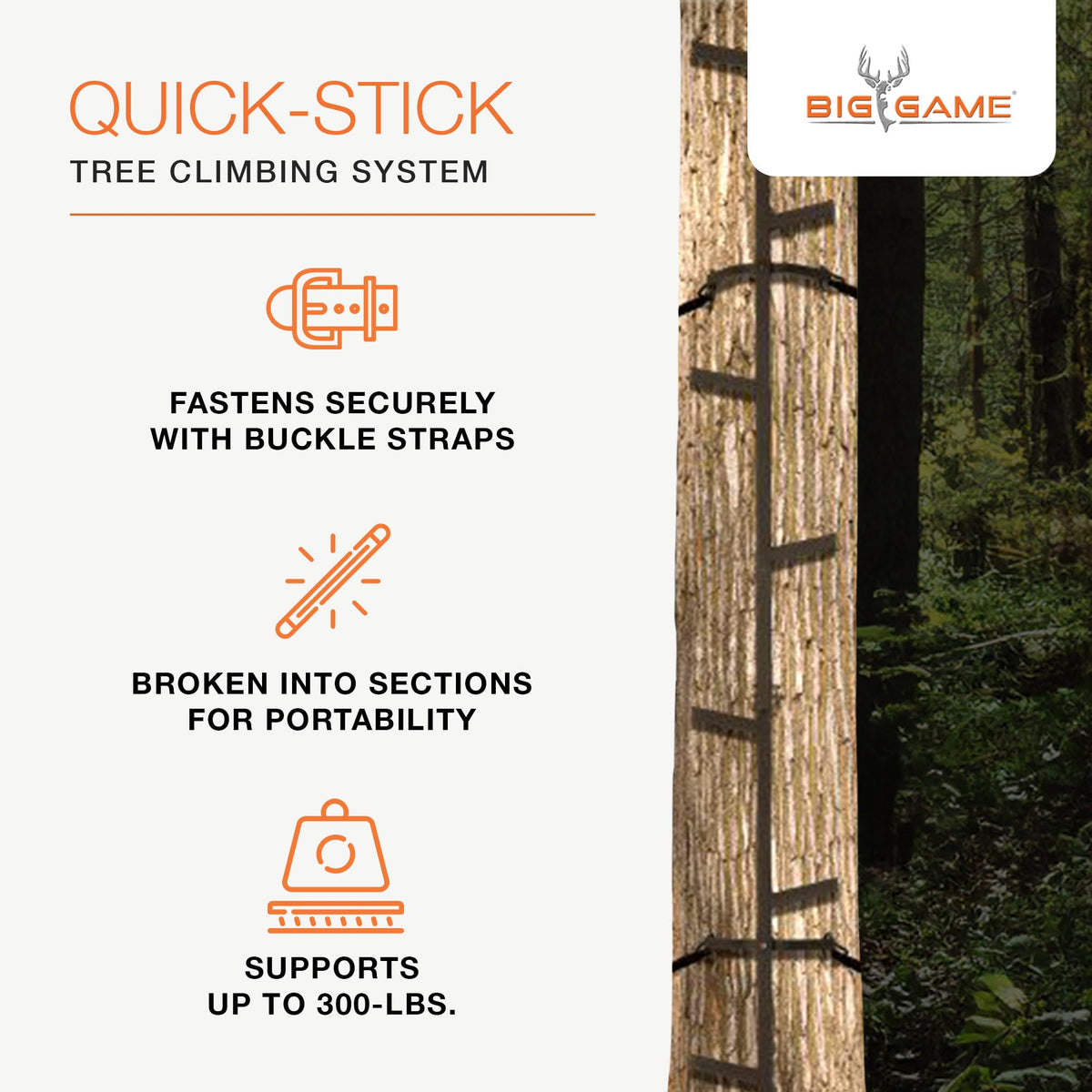 Climbing Ladder Sticks, 20 ft Portable T102939