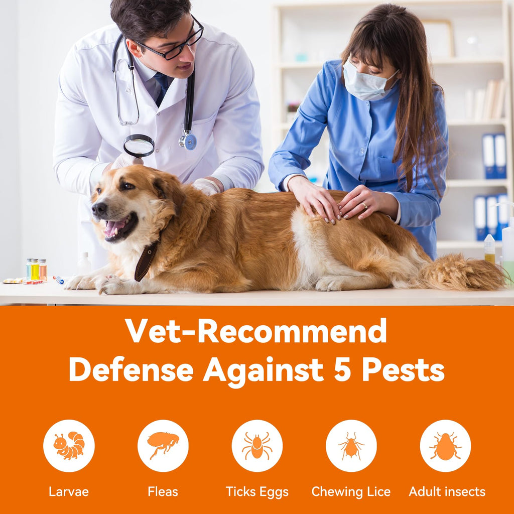 Flea and Tick Prevention for Small Dogs & Puppies, 3 Monthly Doses P744165