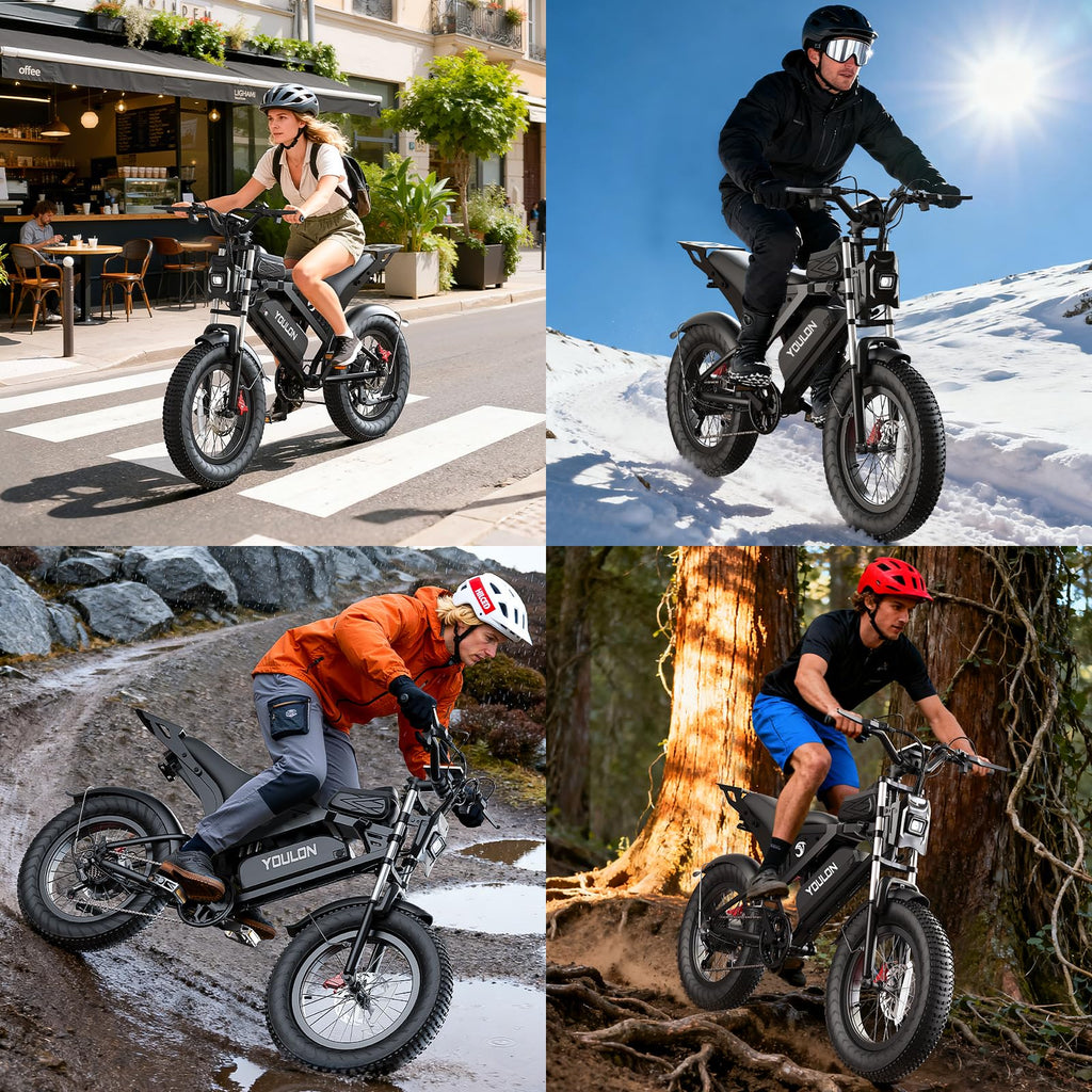 Electric Bike J971