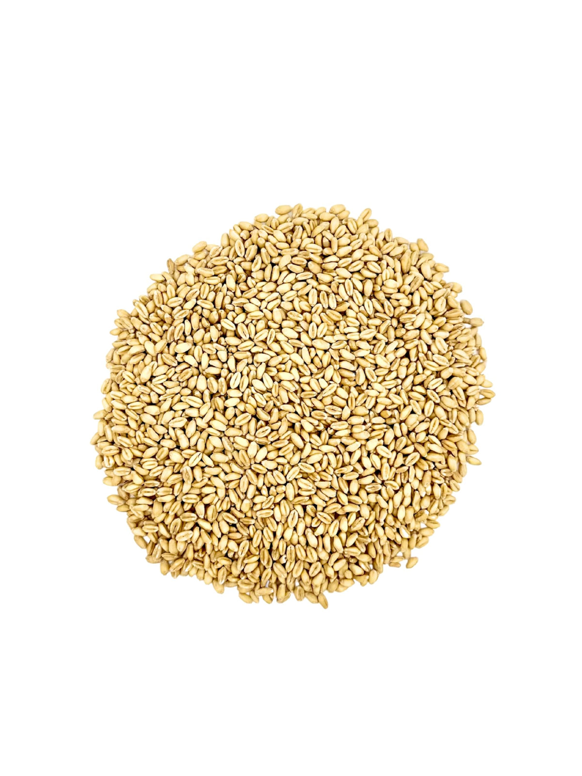 Soft White Wheat Berries 23 lbs Non-GMO E5739