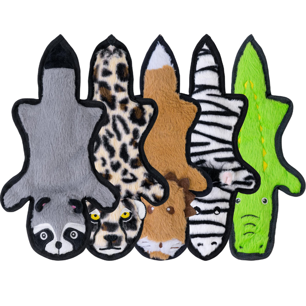 Crinkle Squeaky Plush Dog Toys 5 Pack A343065
