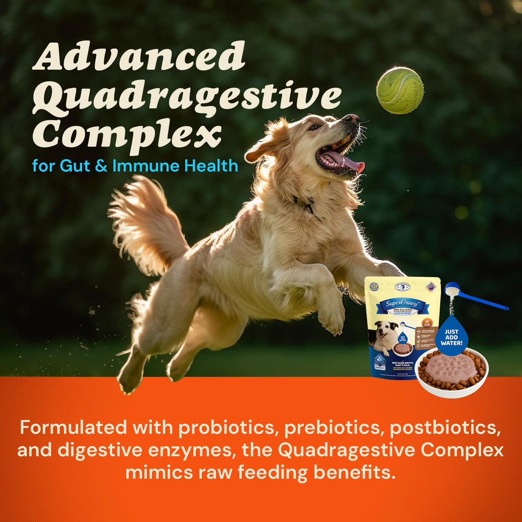 Goat Yogurt Cheese Blend Dog Food Topper 9 oz 60 Scoop T2015