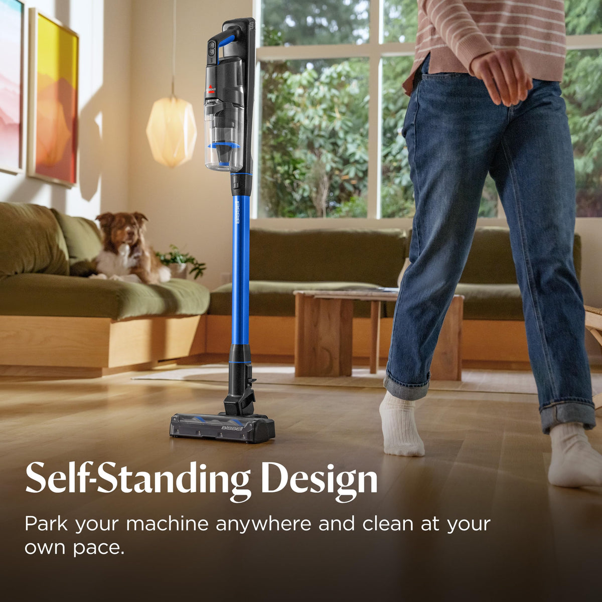 Cordless Vacuum D5752