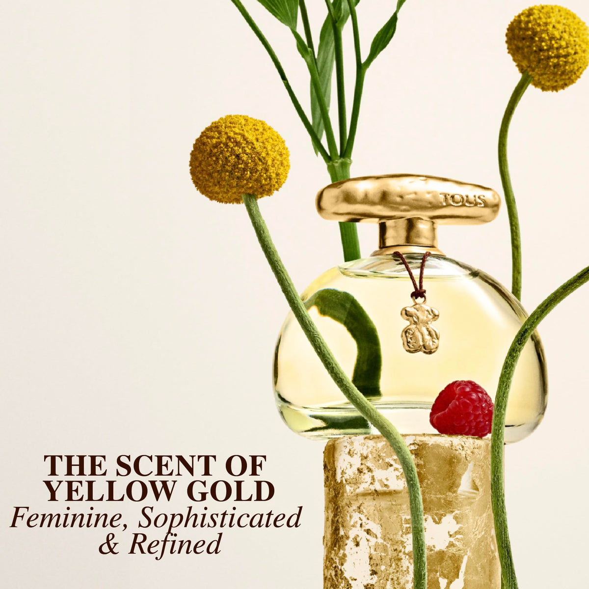 Eau de Toilette Floral Fruity Fragrance 3.4 Fl Oz W329