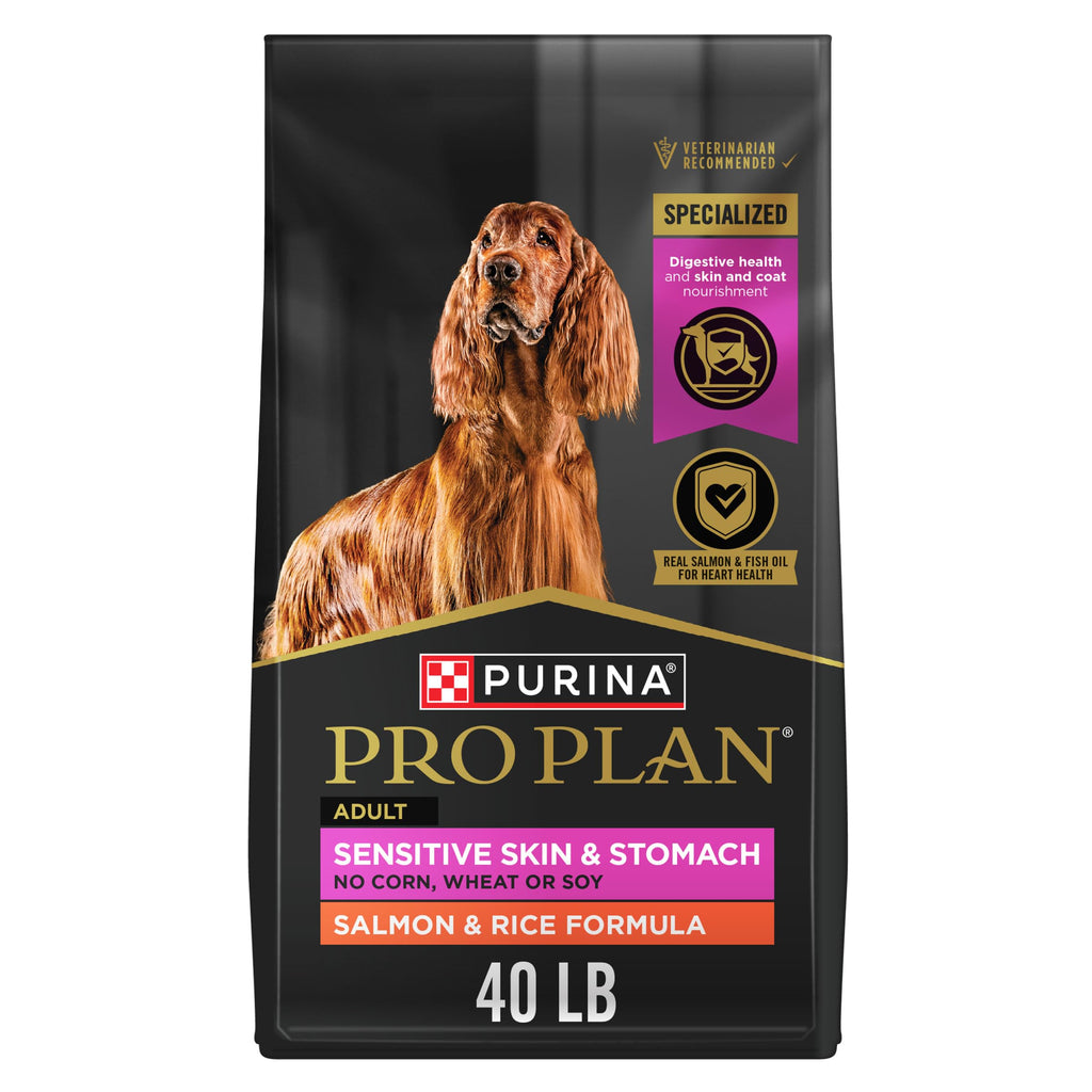 Salmon & Rice Dry Dog Food 40 lb. Bag R2988