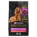 Salmon & Rice Dry Dog Food 40 lb. Bag R2988