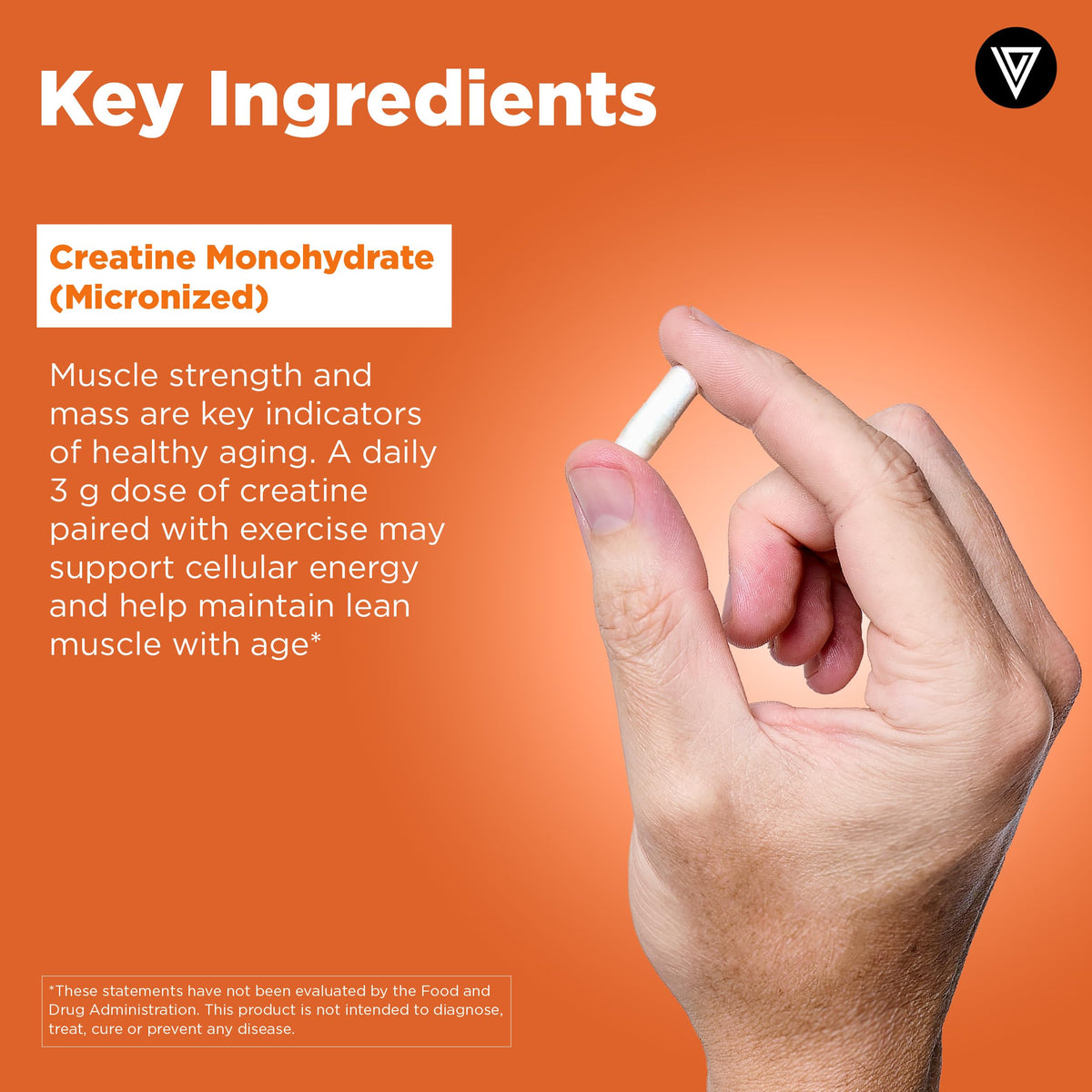 Creatine Monohydrate Pills L5092