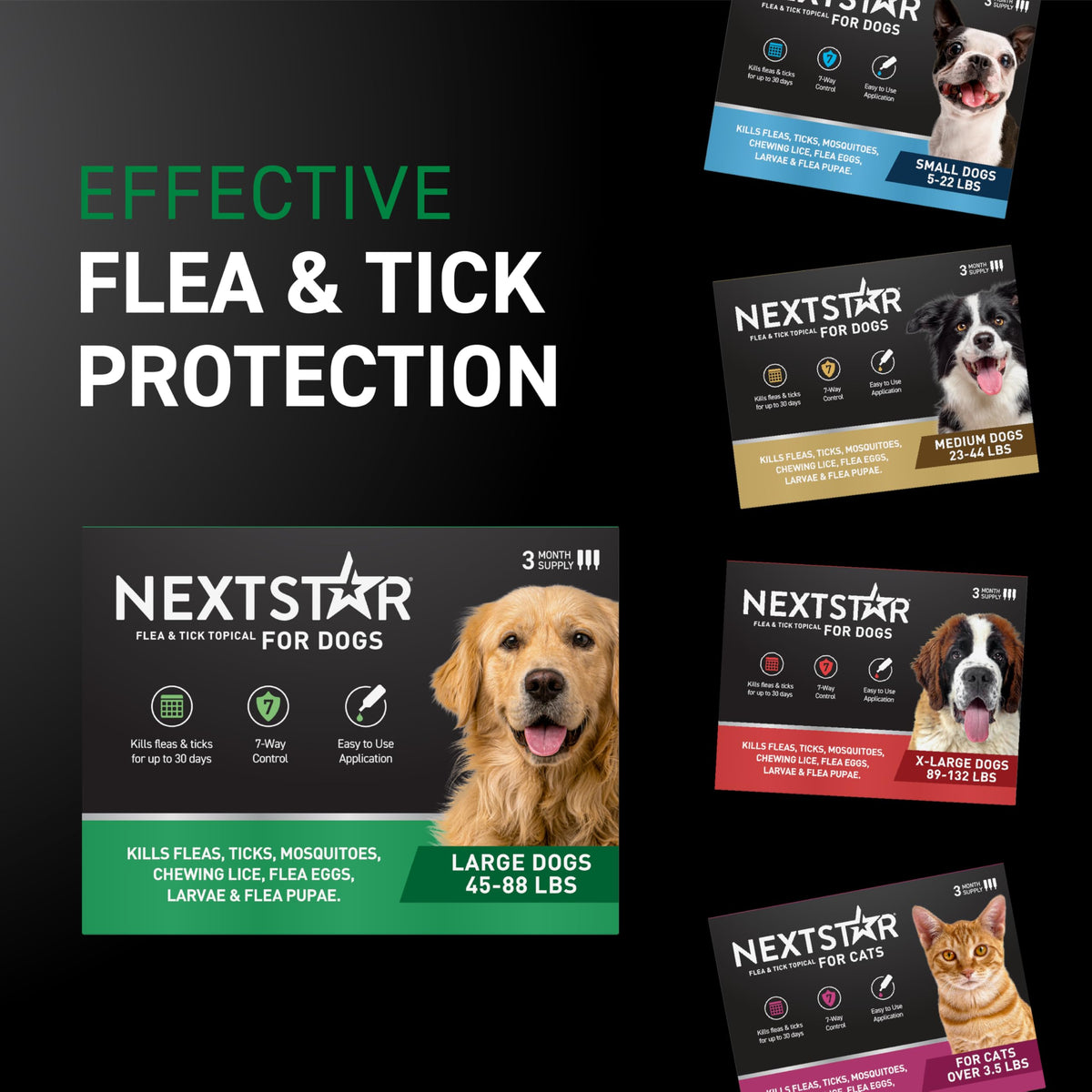 Flea & Tick Topical Dogs Large 1-Month F82477