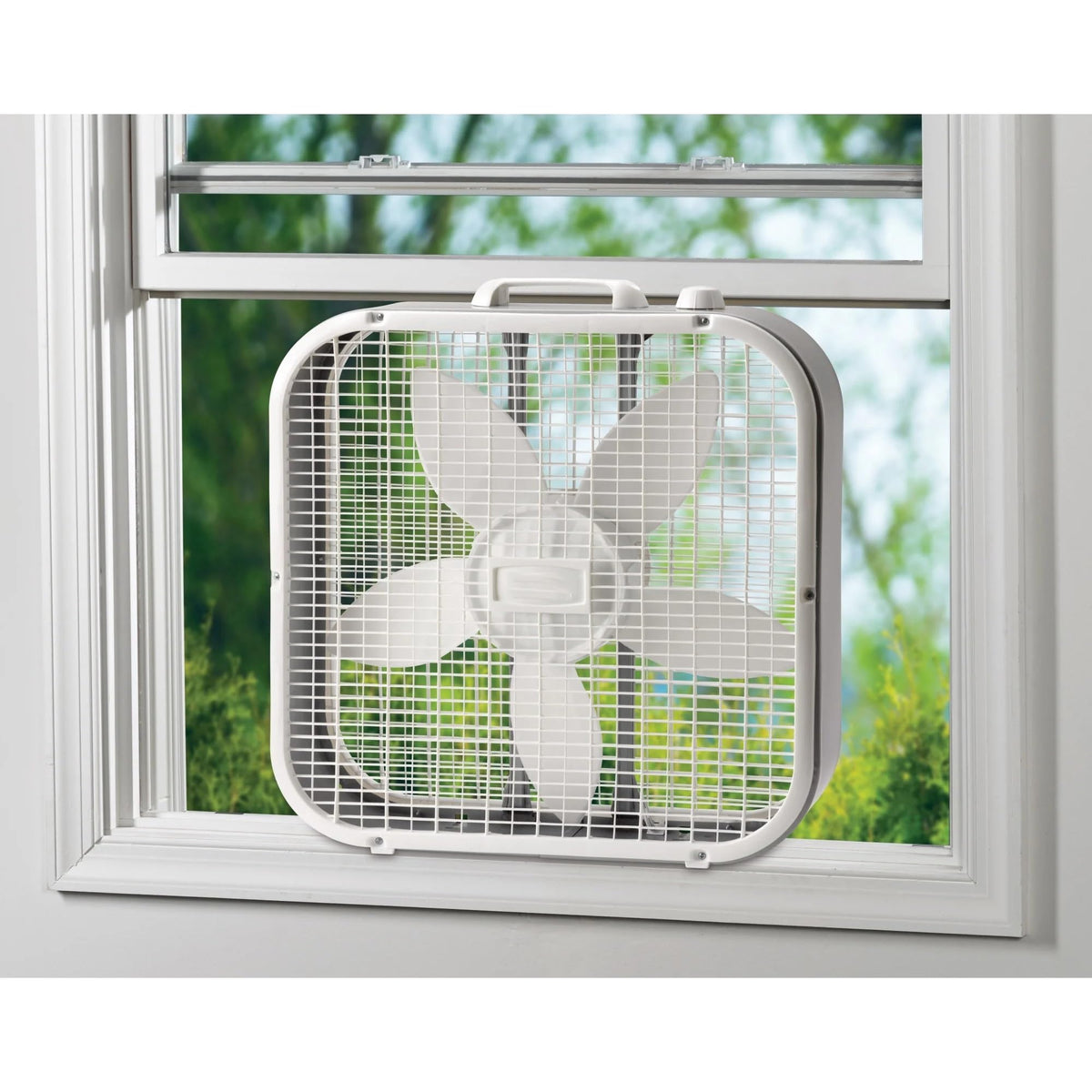 20 Inch 3 Speed White Box Fan T46453