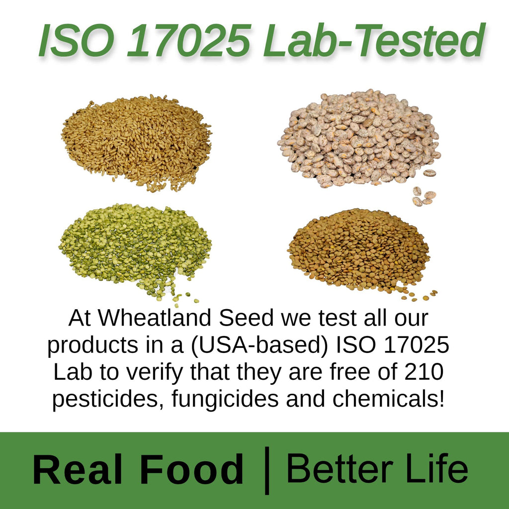 Soft White Wheat Berries 23 lbs Non-GMO E5739